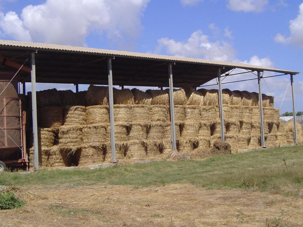 Agriturismo Agrifoglio San Giovanni Suèrgiu Exteriér fotografie